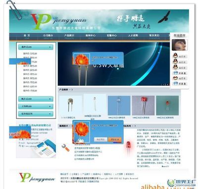 杭州华音科艺网络 世界工厂网全球企业库中的企业网络服务专家